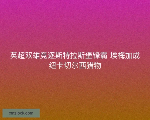 英超双雄竞逐斯特拉斯堡锋霸 埃梅加成纽卡切尔西猎物